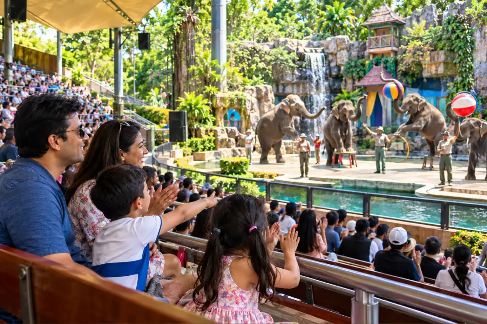 Popular Shows and Entertainment at Dream World Bangkok
